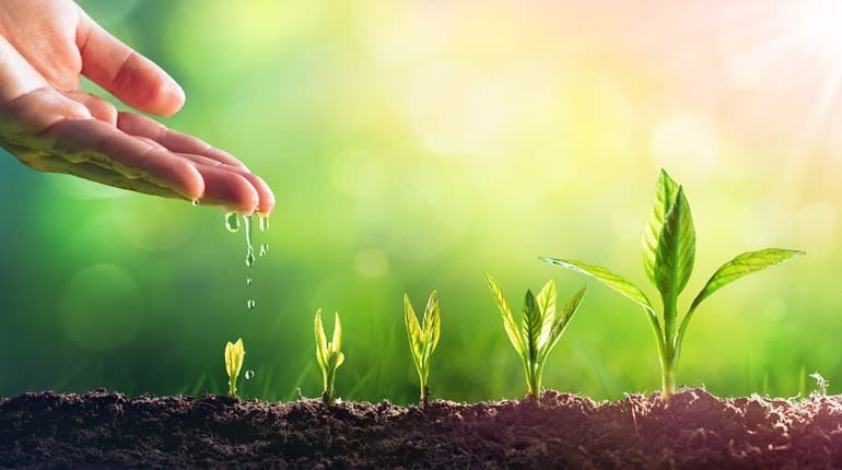 What It Means to Be Really Mature in God  1 Corinthians 1:4-9