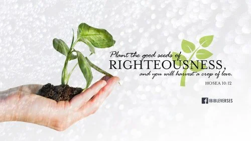 How Can Your Motives Qualify as Righteous Before God?
