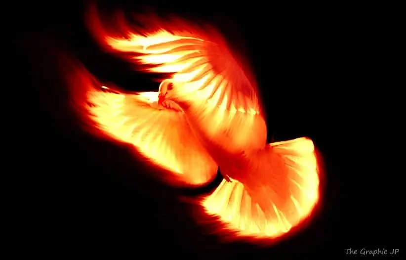 How The Holy Spirit Works In Your Life  John 14:15-17