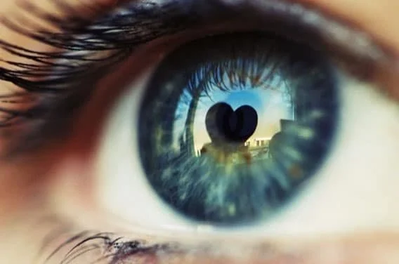 How You Can Chart Your Course by the Vision in Your Heart  Proverbs 29:18