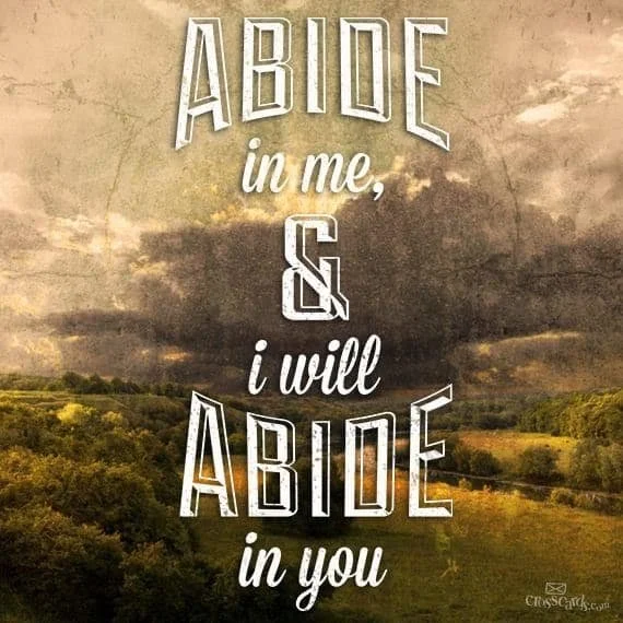 Great Life Changing Lessons on Abiding in Jesus  John 15:3-5