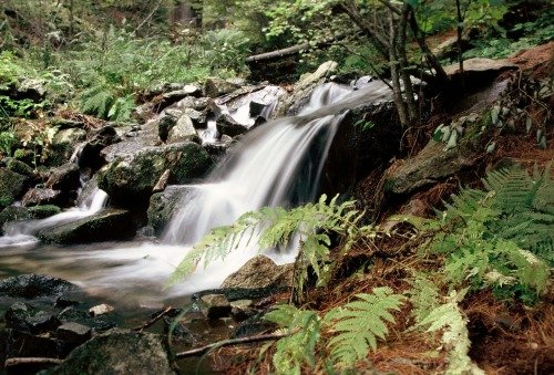 The Flow of the Miraculous