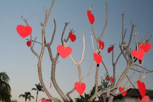 Keys to A Happy Heart