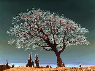 How to Develop Spiritually  Matthew 28:19–20 