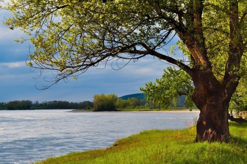 What Does Nature Itself Teach about Life in the Spirit?
