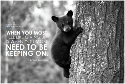 Even More What to Do When You Feel Like Giving Up