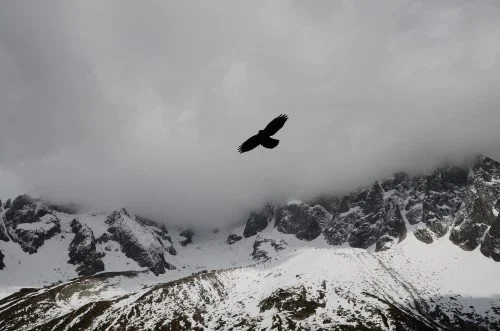 Soaring with Eagles: How to Live In High Places