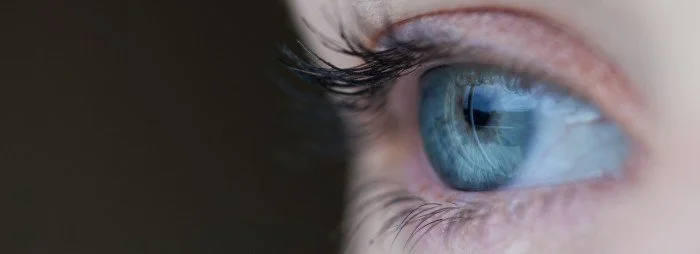 Secrets to Hearing God: Dreams and Visions  1 Corinthians 12:11-14