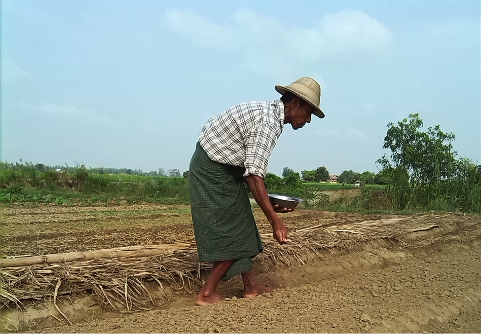 What Is The Parable of the Sower?