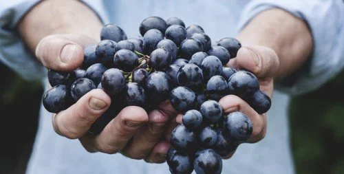 What Are Fruitful and Unfruitful Places with God?