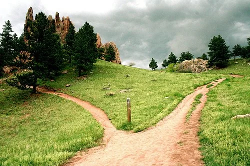 In the Parable of the Sower, What Is Wayside Ground?  Mark 4:4