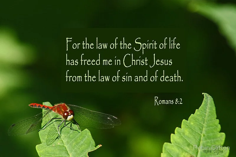 Why the Law of the Spirit of Life Sets You Free  Romans 8:2-3