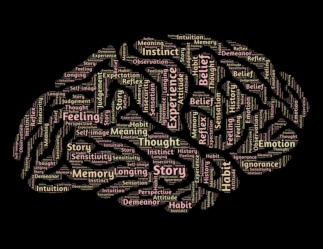 More of Why Renewing the Mind Is Important for Soul Development  Romans 12:1-2