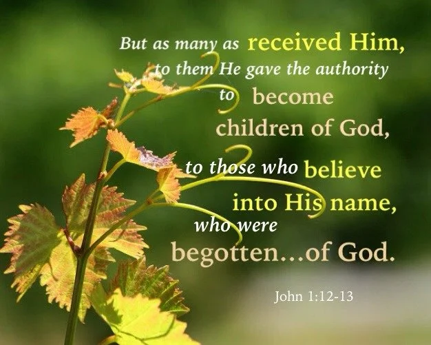 Why Adoption in God is the Same as Full Sonship