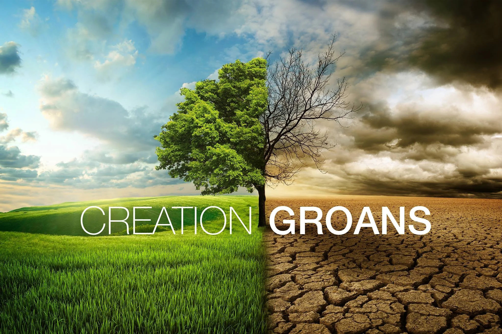 What Is The Glorious Liberty Creation Is Looking For?