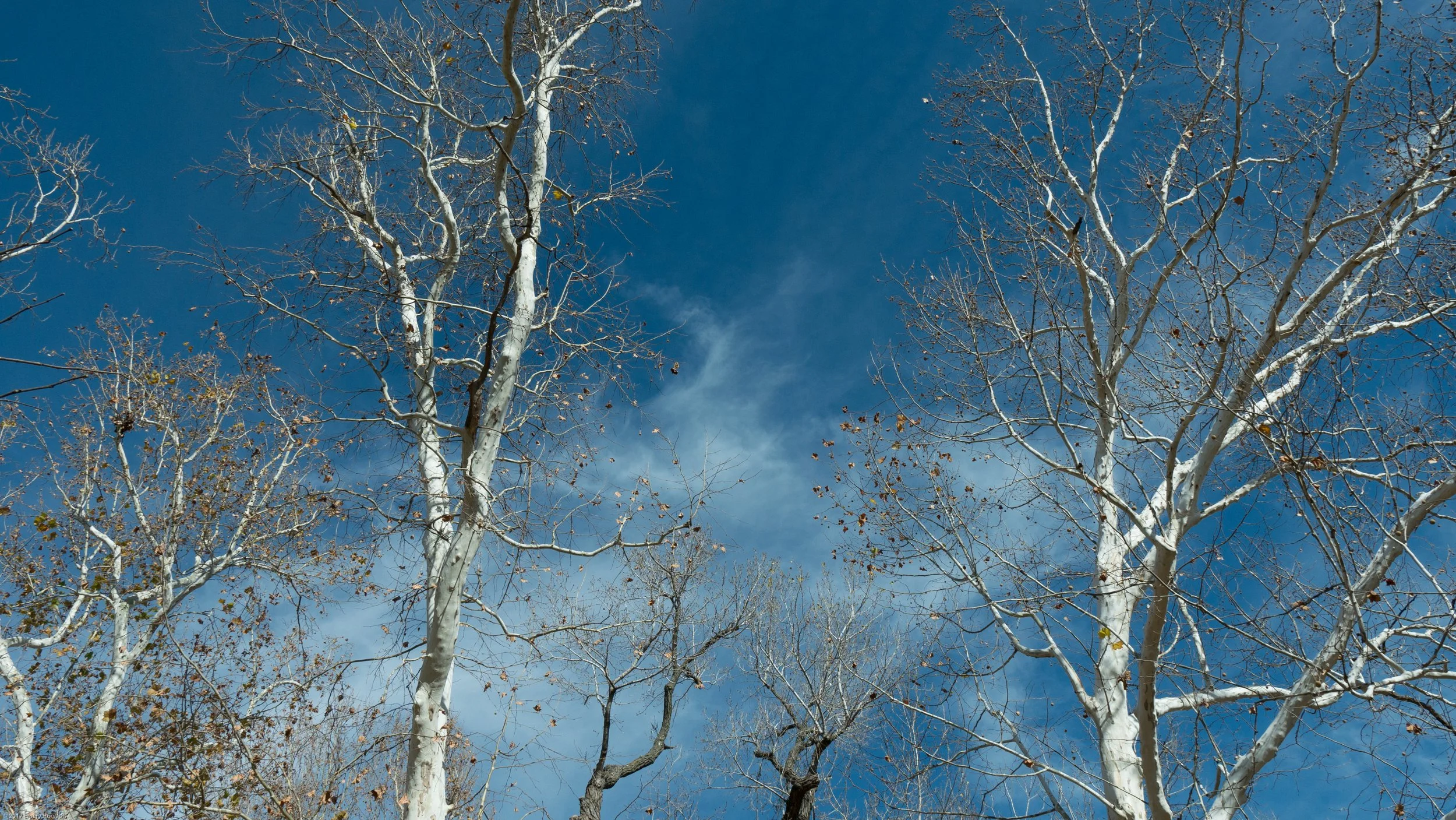 Have You Noticed the Beauty of the Sky Lately?