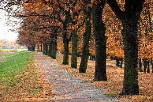 Walking in the Will of God
