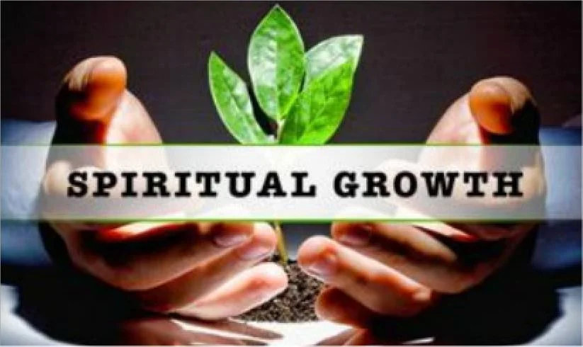One Necessary Component You Need for Spiritual Growth in God