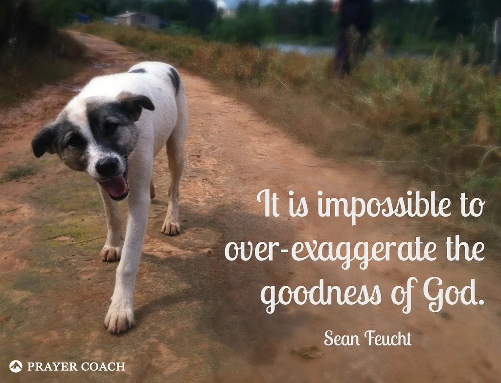 Developing Confidence in the Goodness of God