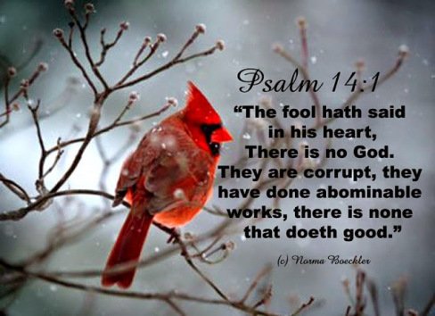 Why Learning from a Foolish Man Leads to Growth