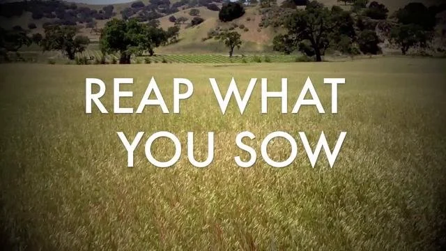 What Is the Scoop on Holiness, Sowing and Reaping?  