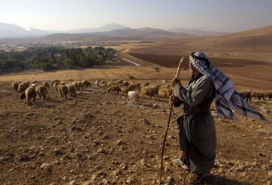 Can't Miss Lessons on the Rod of God  Exodus 4:2–4
