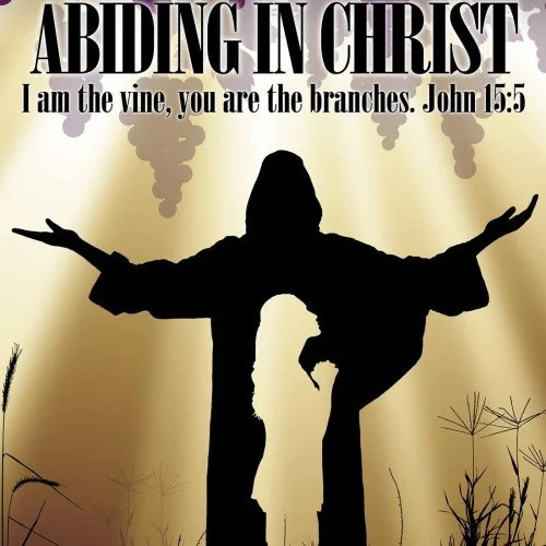 Why Believing and Abiding Is the Key to the Happy Life  John 8:29–36