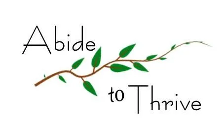 More of Why Believing and Abiding Is the Key to the Happy Life  John 8:29–36