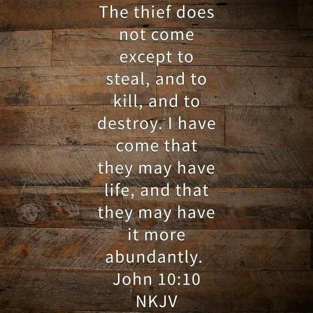 How to Deal with Thieves and Robbers Jesus Style  John 10:10