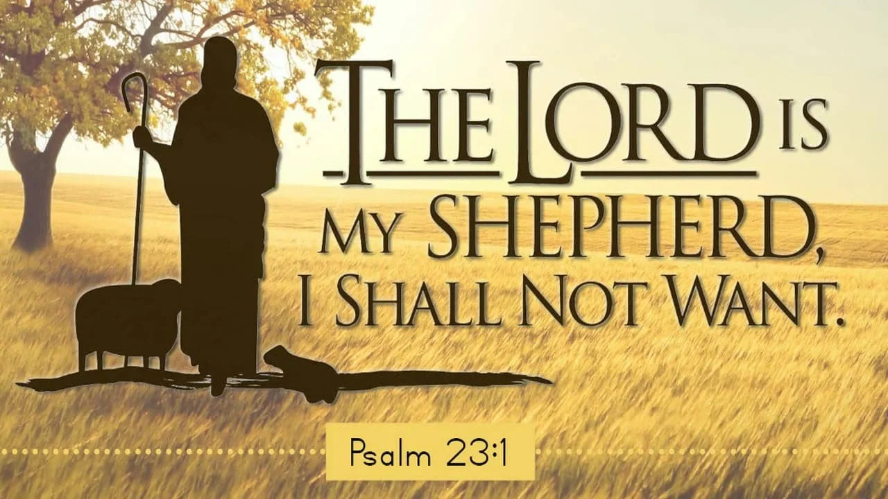 What Makes Jesus the Good Shepherd   John 10:11-18