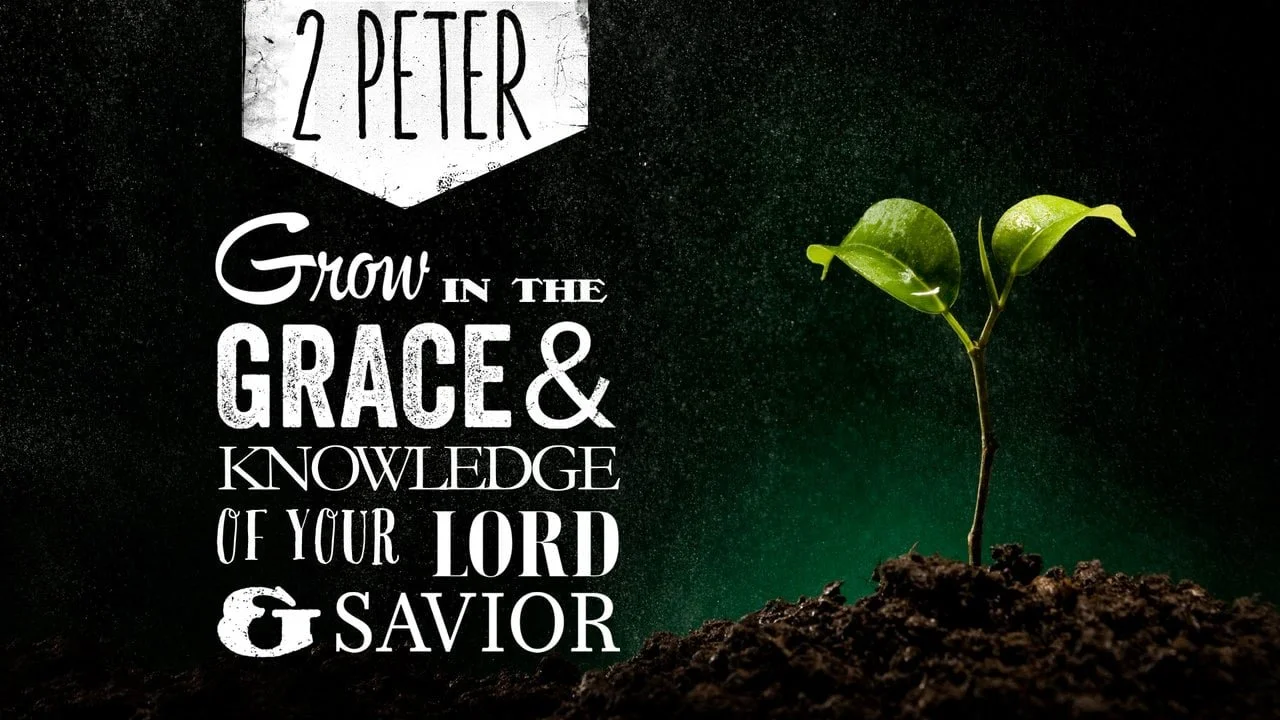 How Do You Respond to the Savior of the World?  John 12:1–8