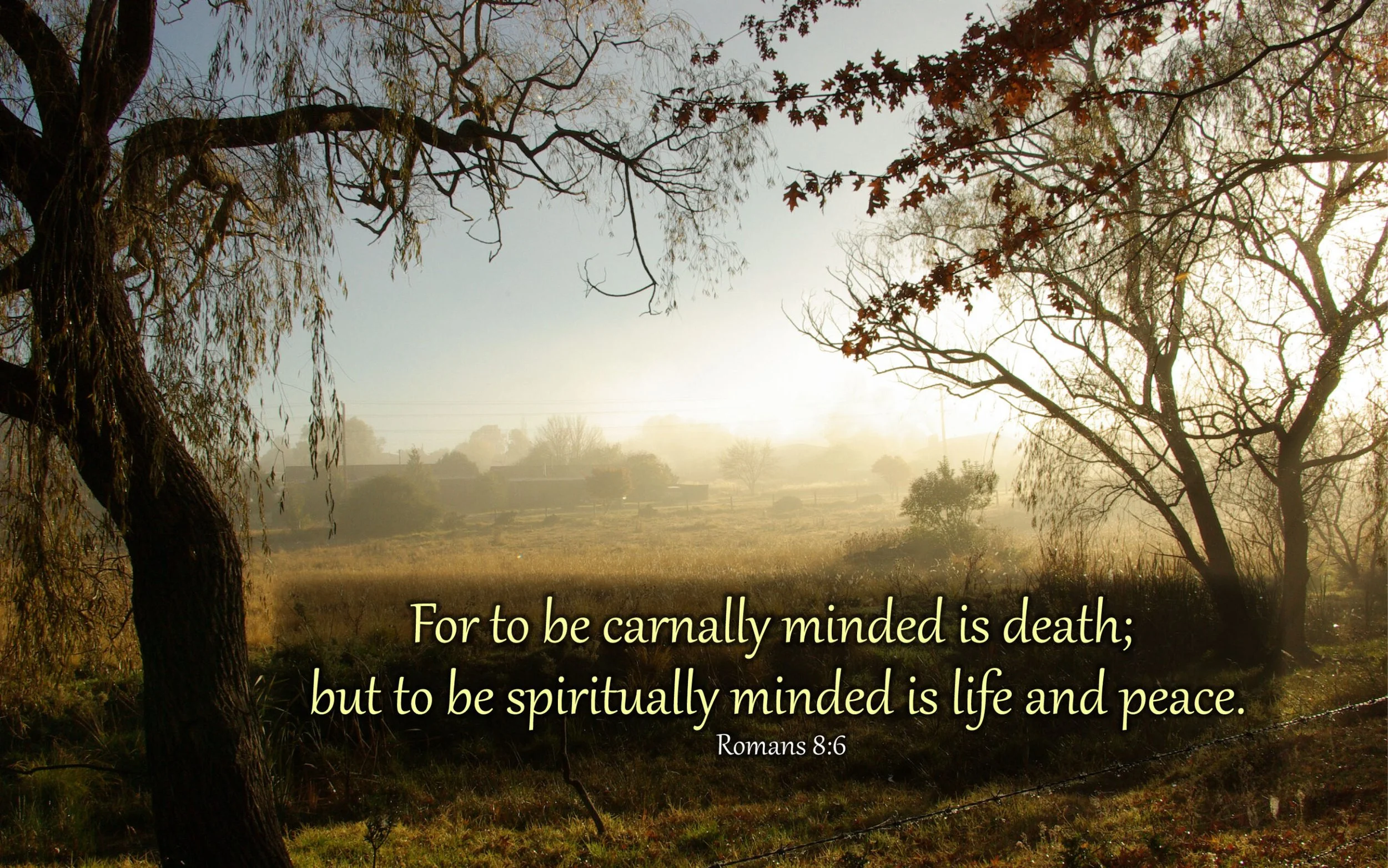 What is Carnal Minded and How to Grow Out of It?  Romans 8:6