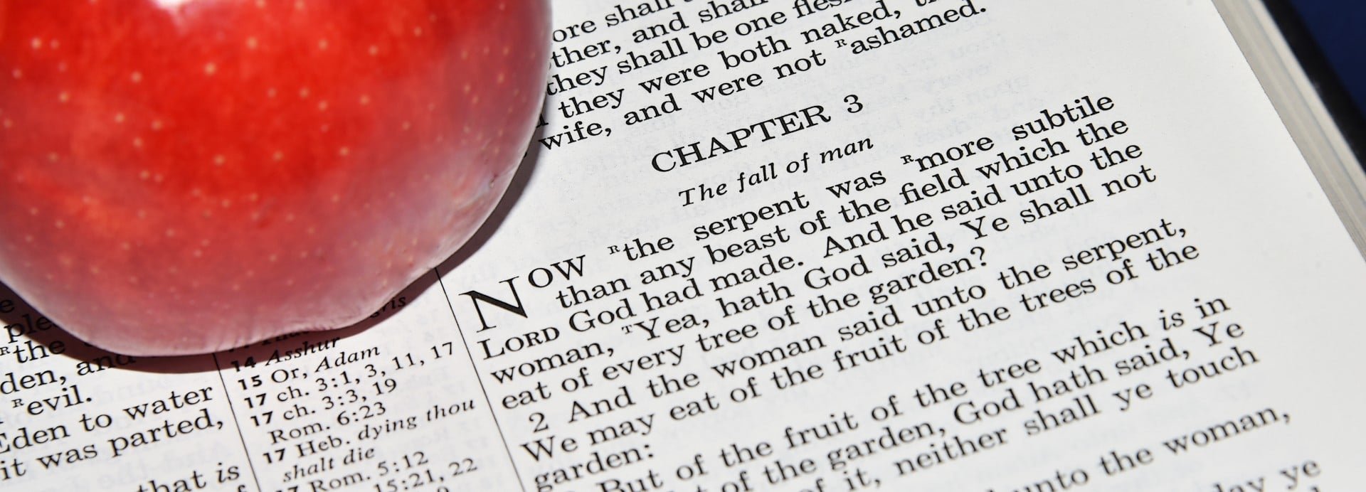 Your Powerful Victory Over Satan the Serpent  Genesis 3:1