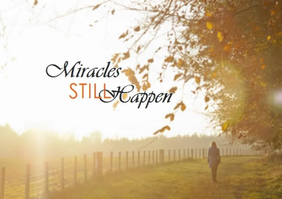 Do People Need Miracles to Believe Jesus Is Real  John 12:35–43