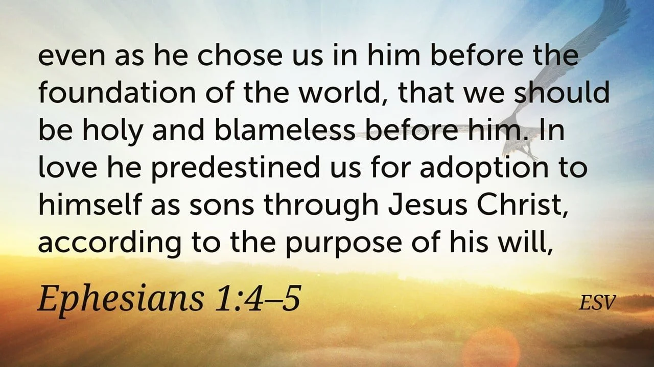 How Predestination and God's Foreknowledge Elevates Your Everyday Life  Ephesians 1:3–6