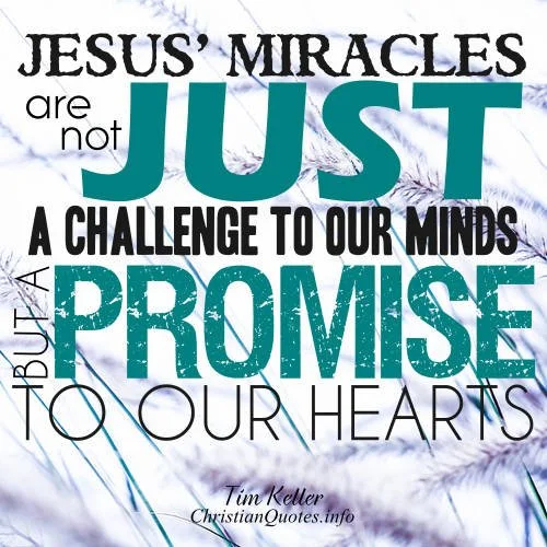 What Is Your Part Versus God's Part in Getting Miracles from Heaven  Exodus 14:1–3 