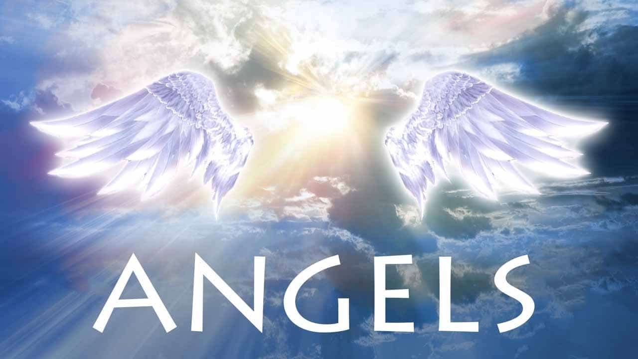 More of The Real Scoop on Teaching Angels in Heavenly Host University