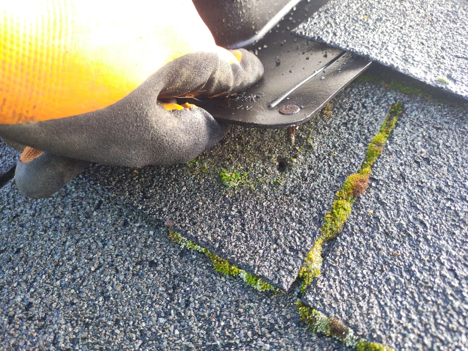 Should I Clean My Own Roof?