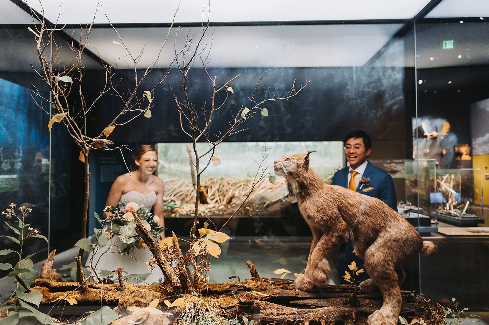 Wedding couple admiring nature exhibits at the Bell Museum, one of Minnesota's best winter wedding venues