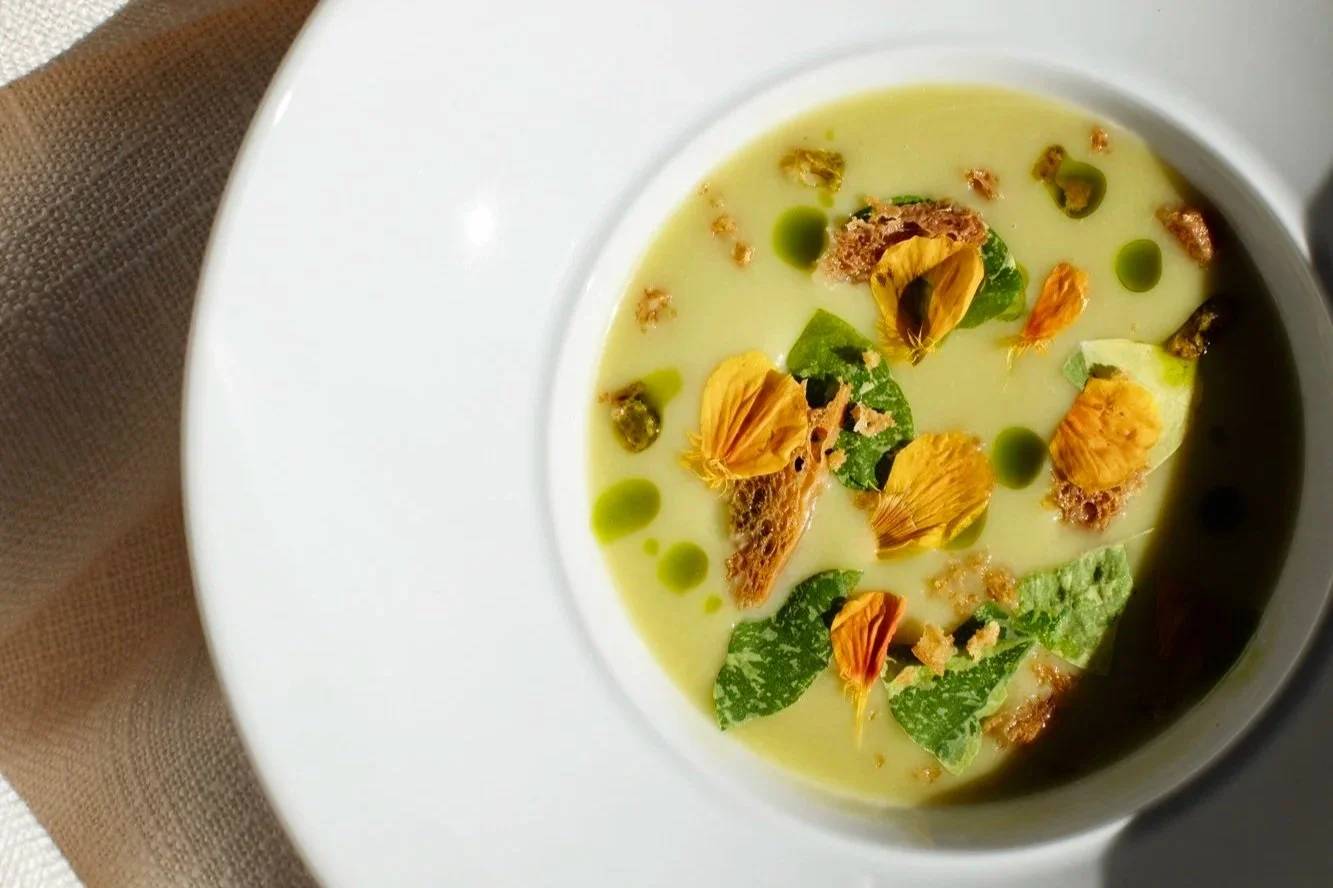 Artful soup dish decorated with herbs and petals