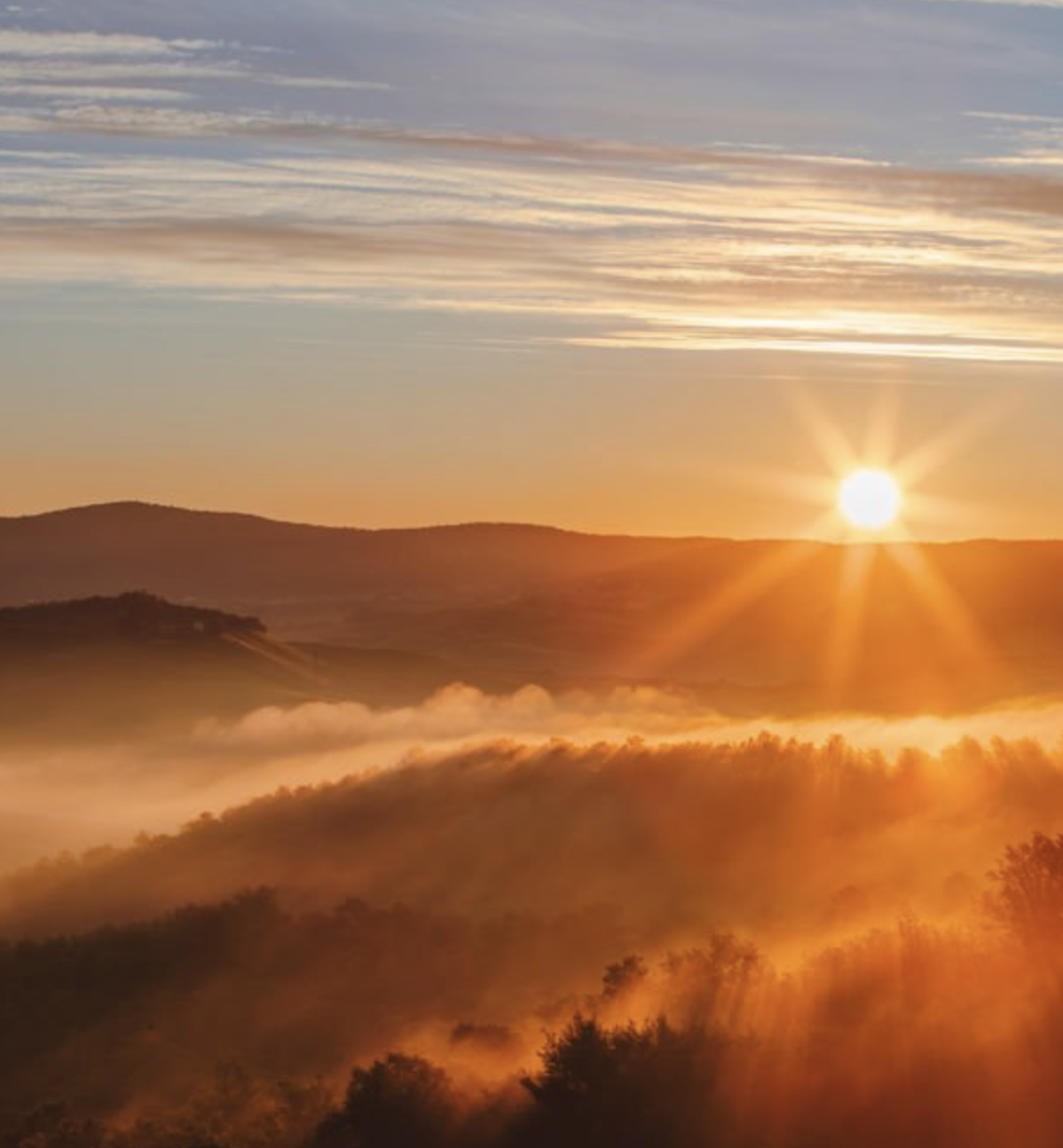 Individual Reiki Service