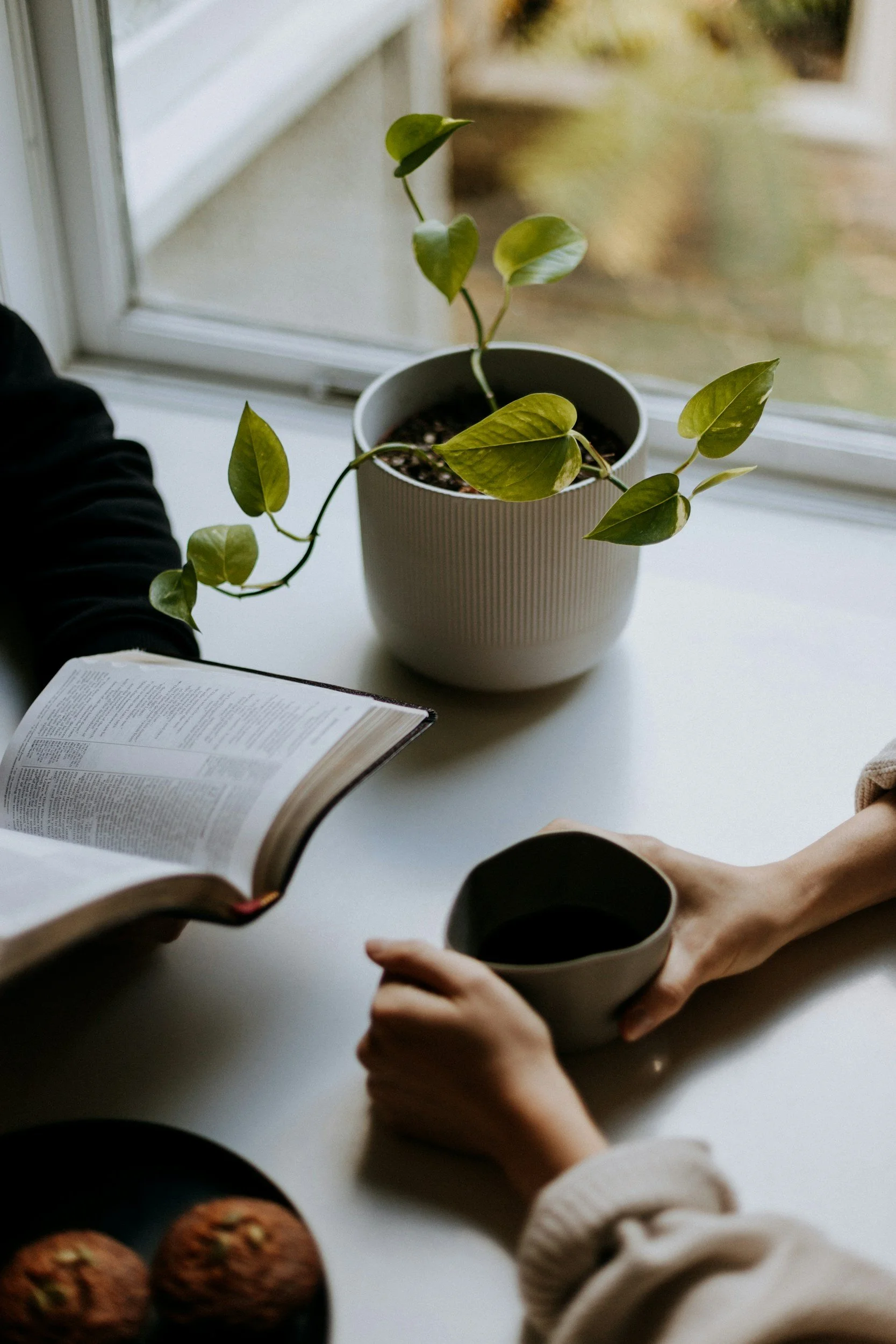 A person holding a small black mug, sitting at a white table with an open book, a potted plant on the windowsill, and some cookies on the table.