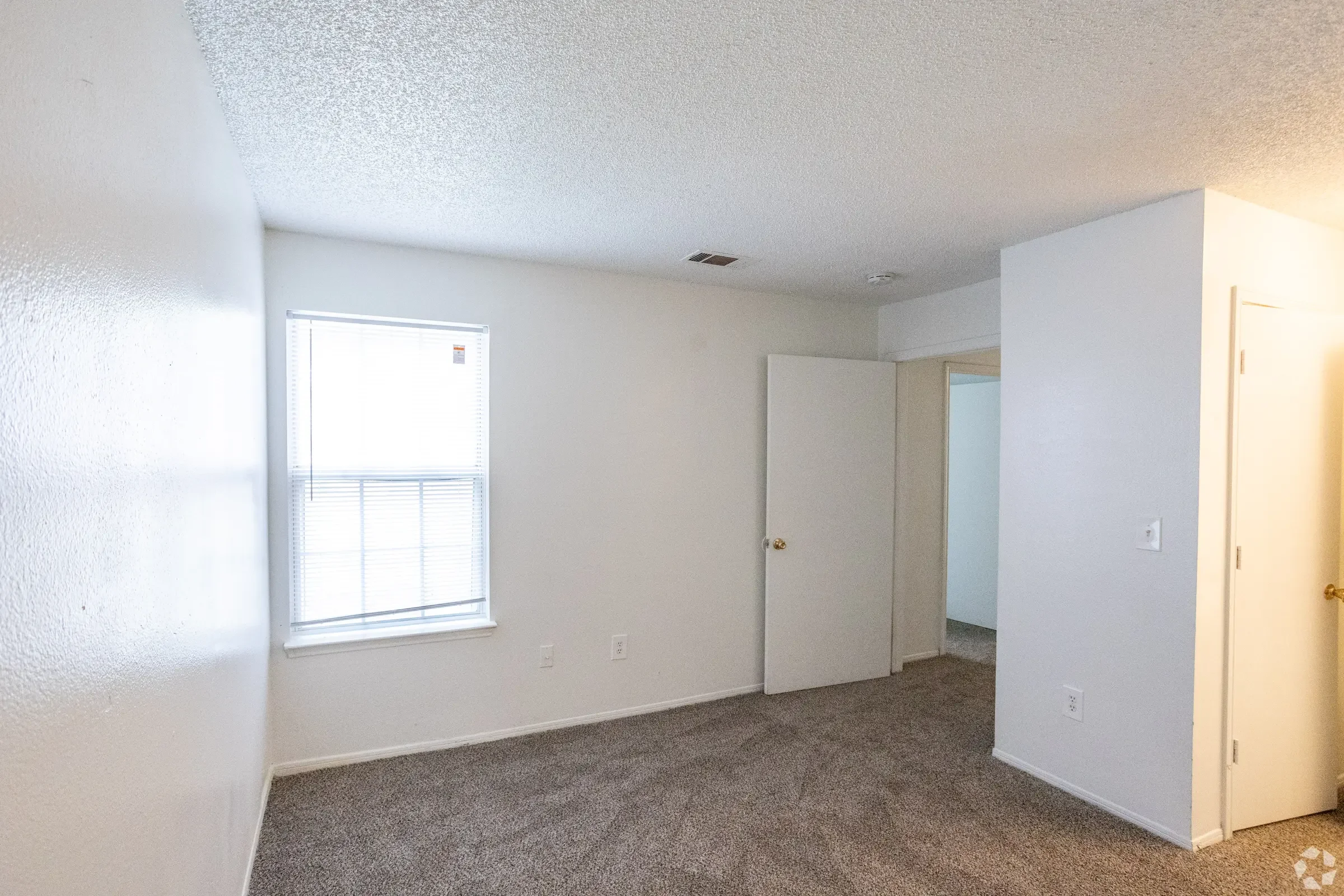 forest_park.jpeg (11).webp