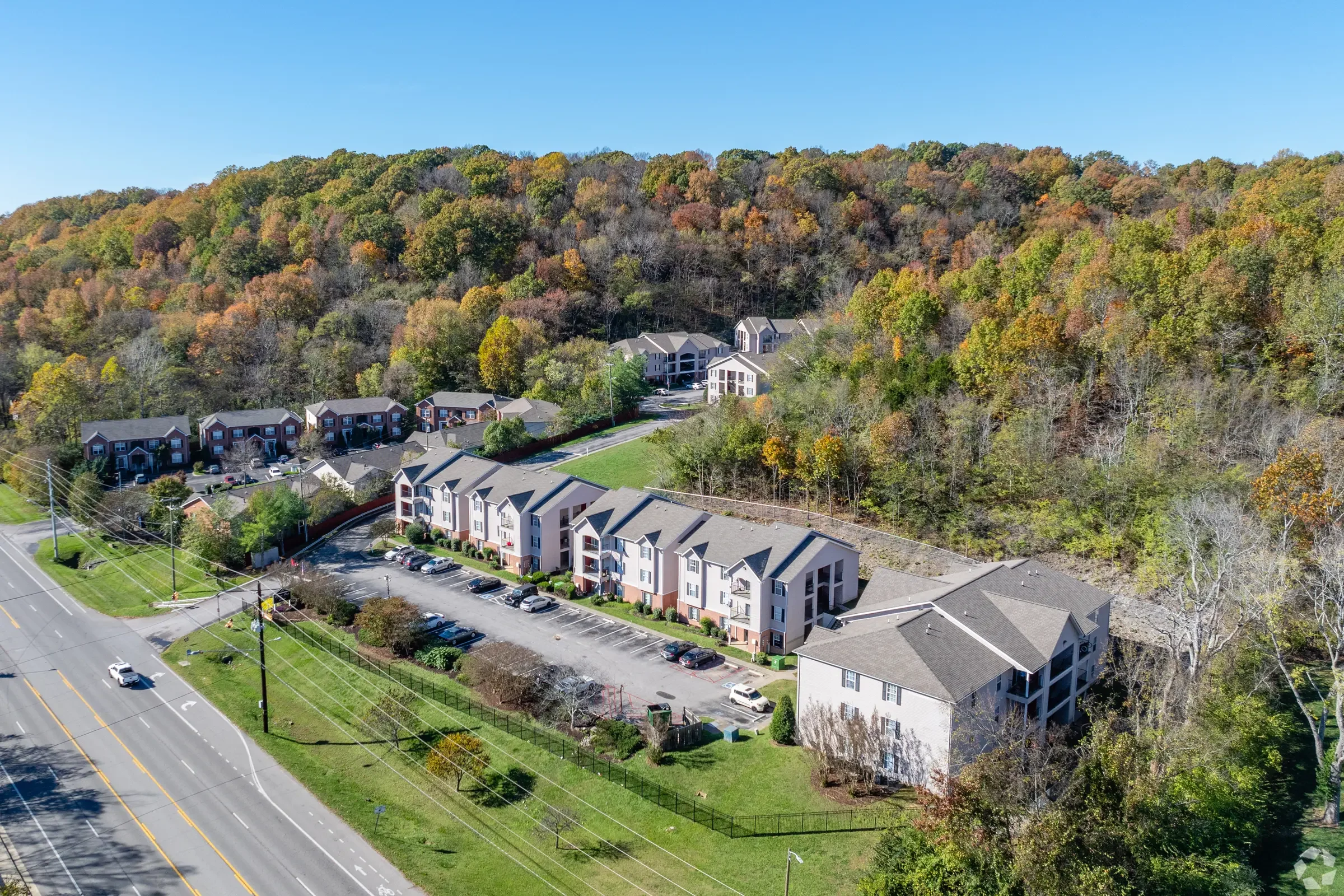 forest_park.jpeg (4).webp