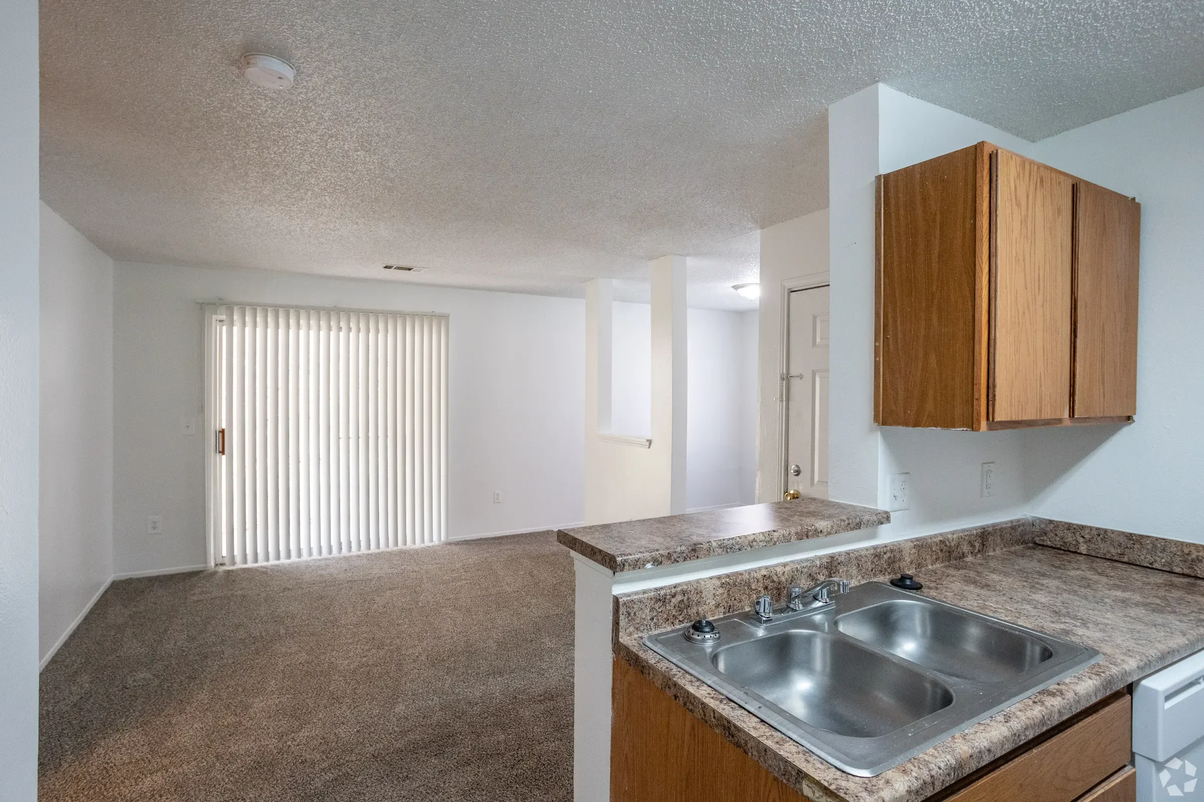 forest_park.jpeg (7).webp