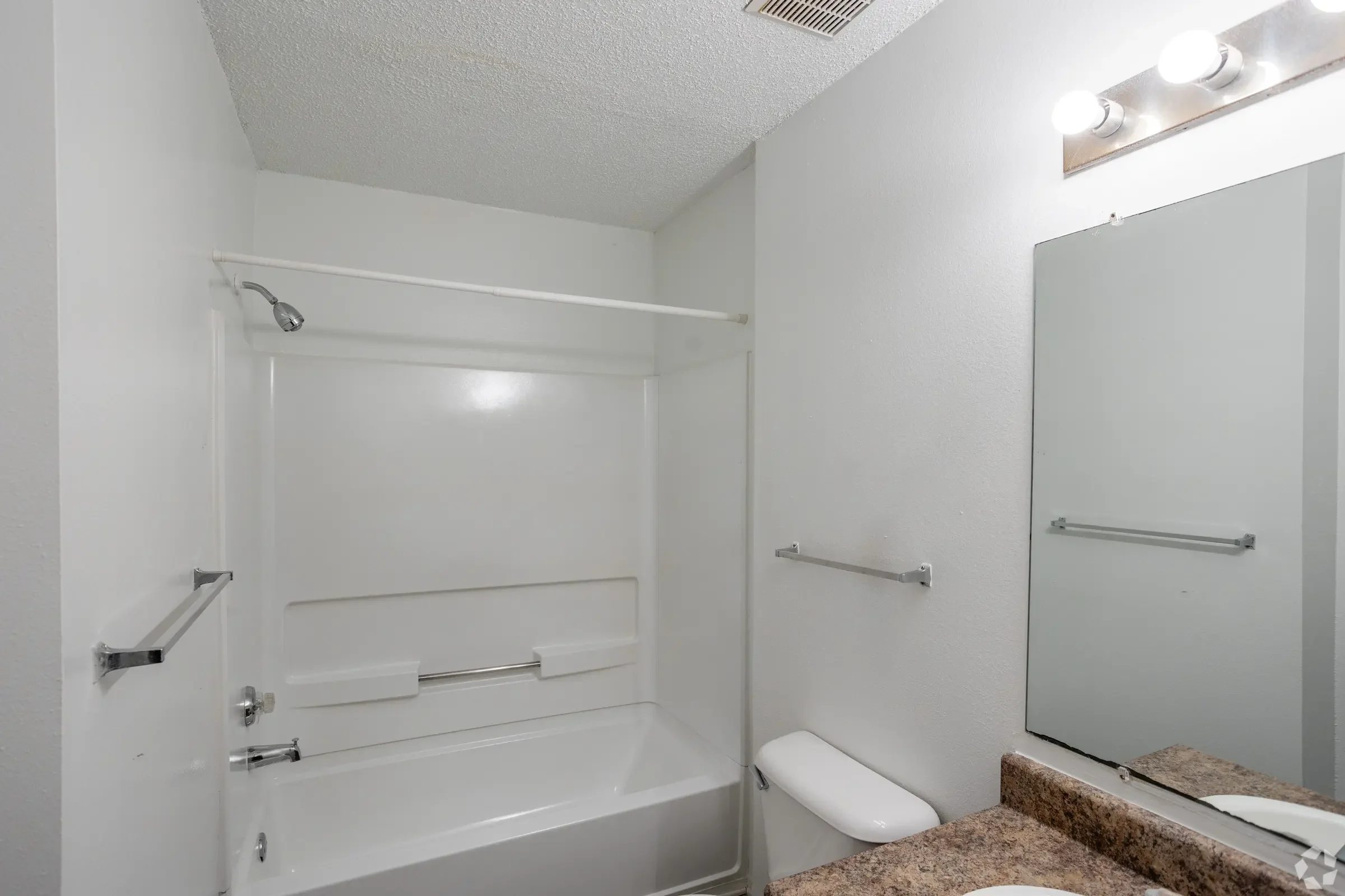 forest_park.jpeg (14).webp