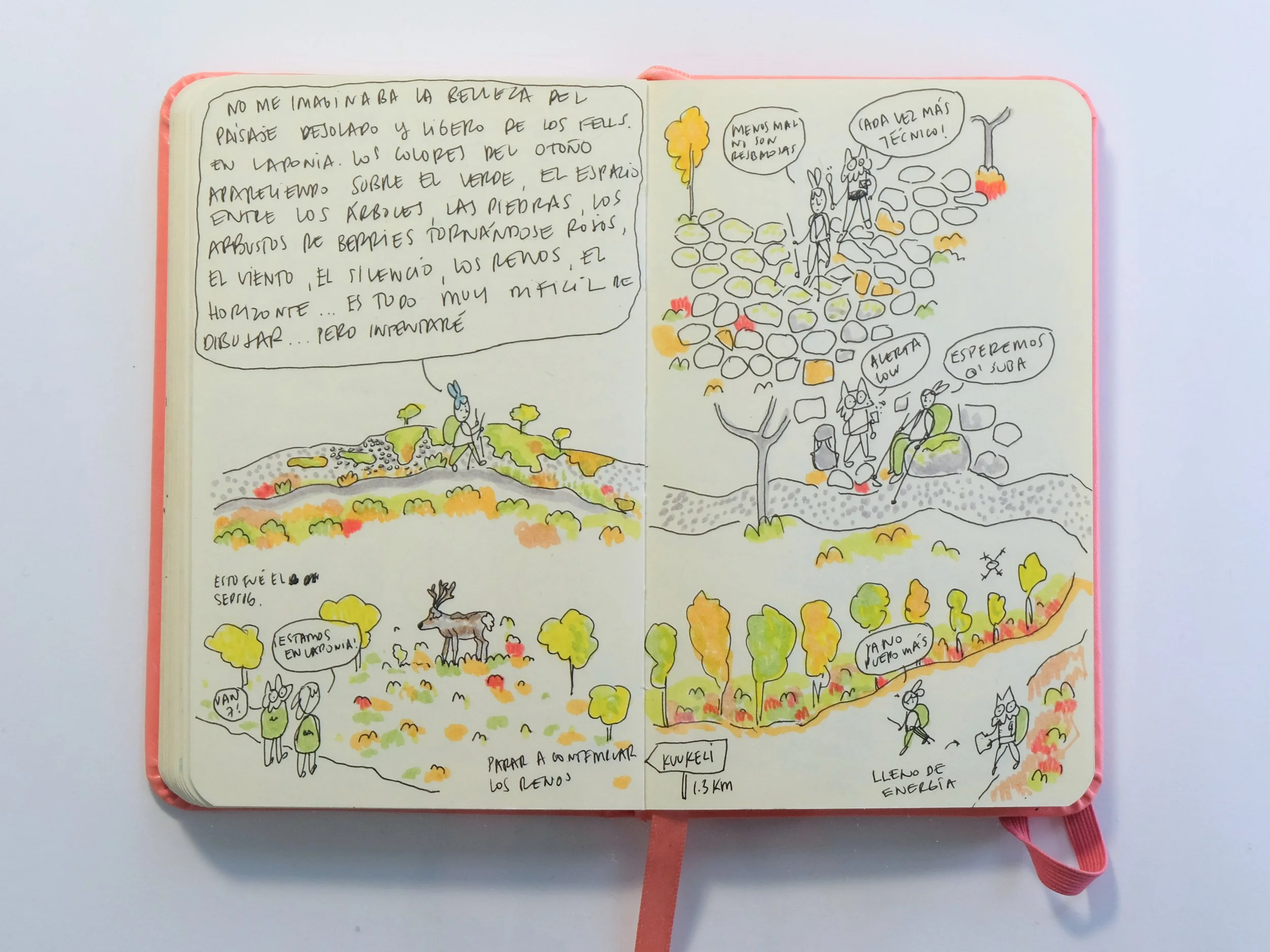 back - pyhaluosto 2025 - Sept 16.jpg