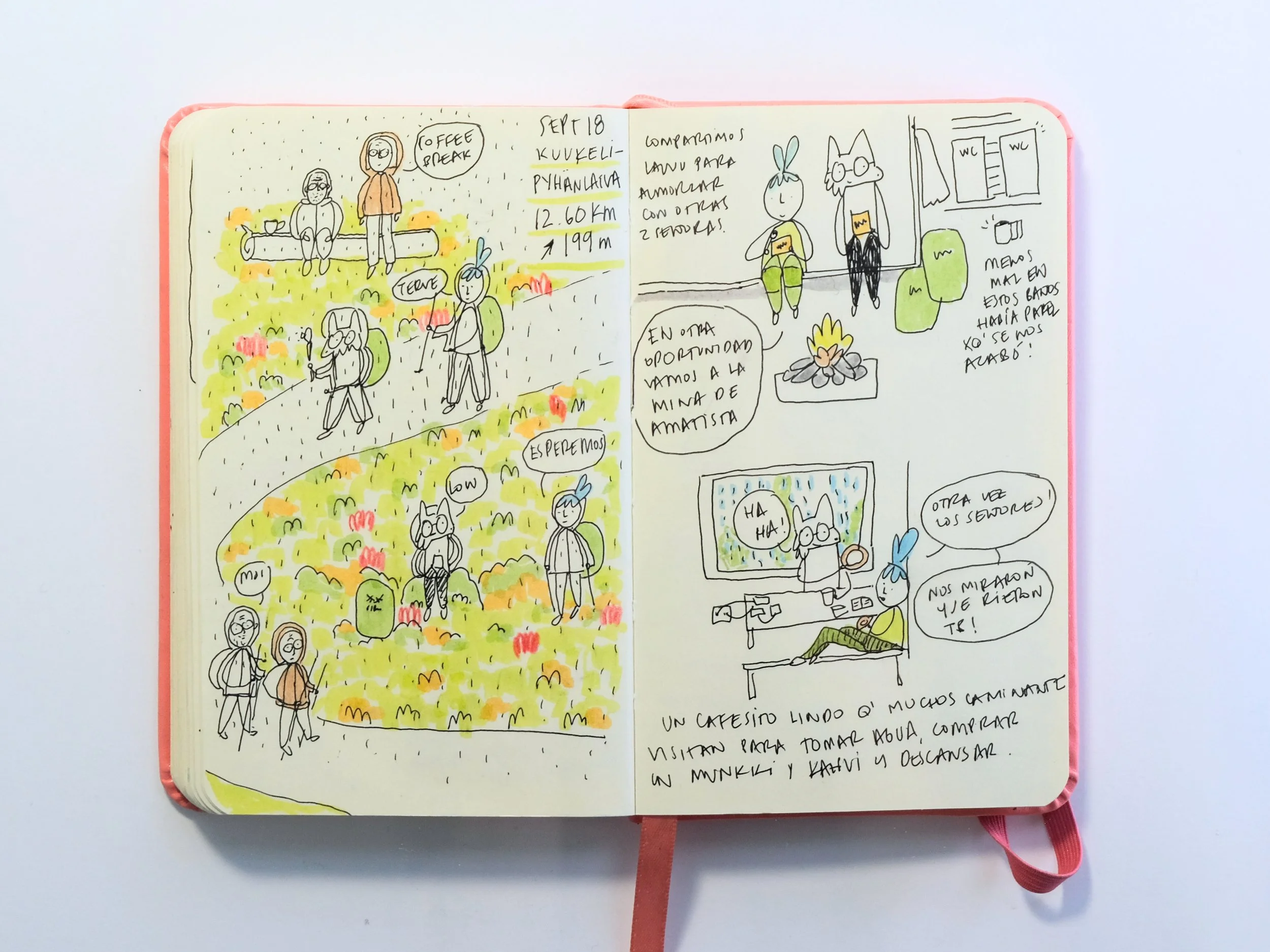 back - pyhaluosto 2025 - Sept 18.jpg