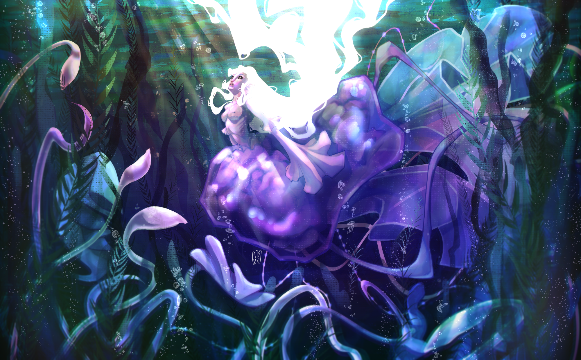 jellyfish_lowres.png