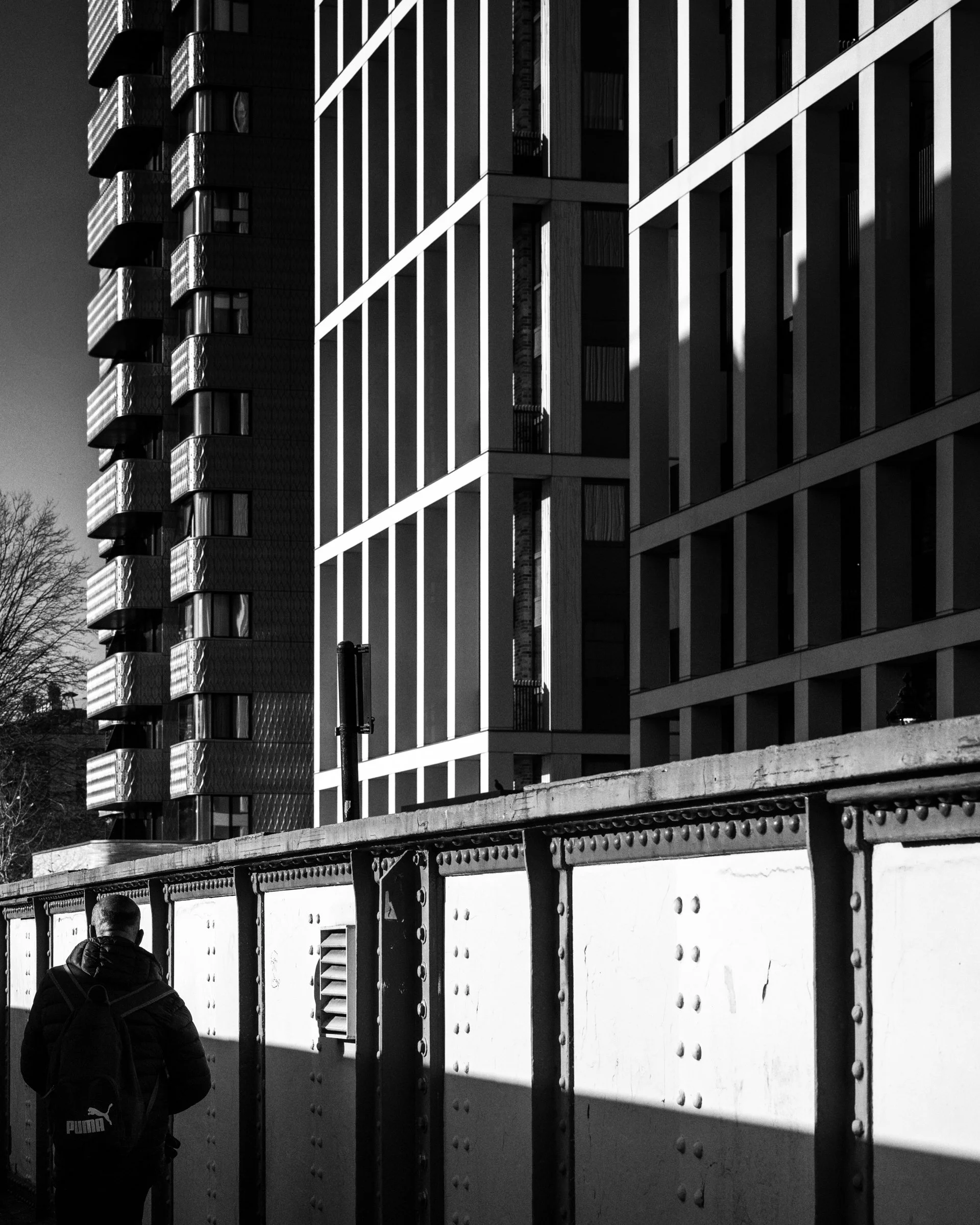 20241126-_DSC3618-Edit-Edit-Edit.jpg